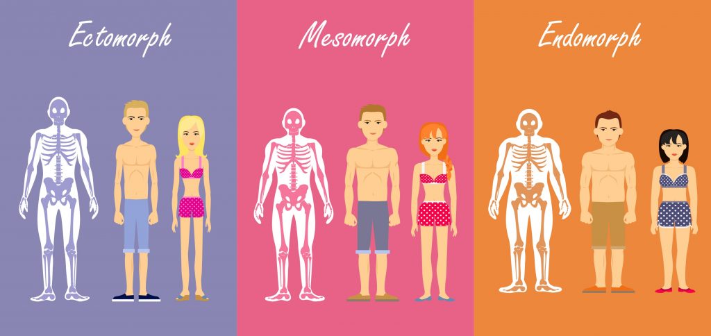 Votre type de morphologie influence-t-il vos besoins en matière d’entraînement physique composition